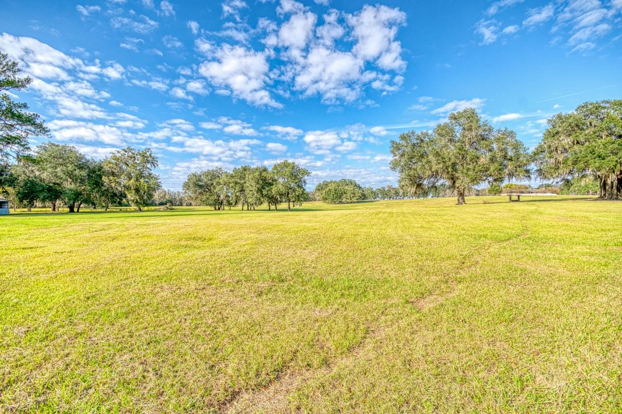 1161 Northwest Jersey Road Madison, FL 32340 - Photo 25 of 29
