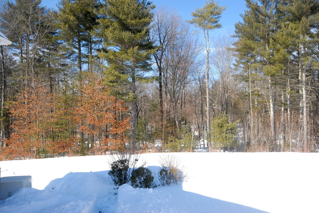 39 Ridgewood Drive, Unit 39 Stow, MA 01775 - Photo 22 of 26 a black and white photo of a forest