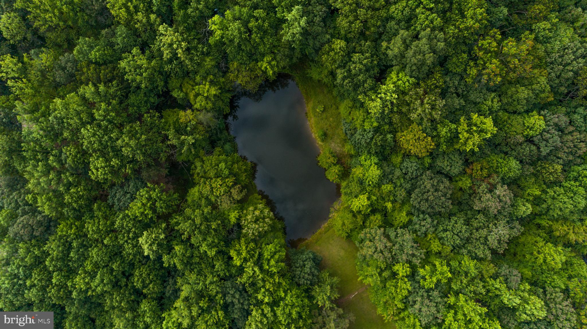 2919 Caves Road Owings Mills, MD 21117 - Photo 42 of 83