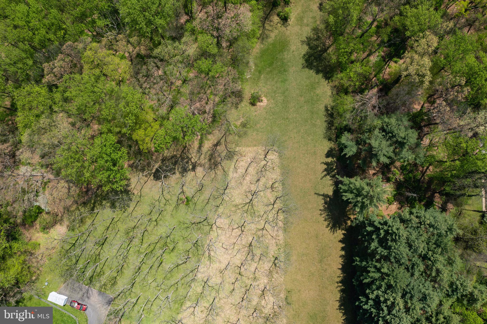 2919 Caves Road Owings Mills, MD 21117 - Photo 73 of 83