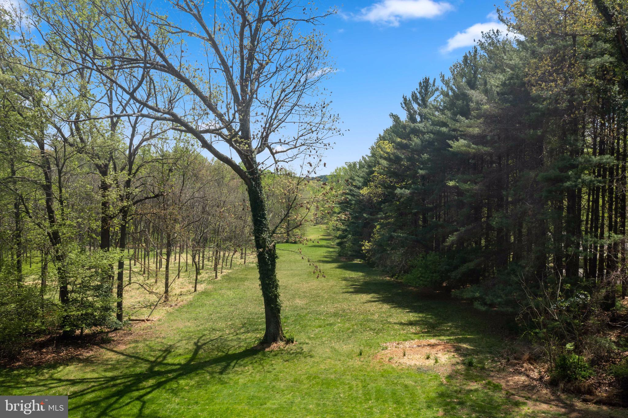 2919 Caves Road Owings Mills, MD 21117 - Photo 81 of 83