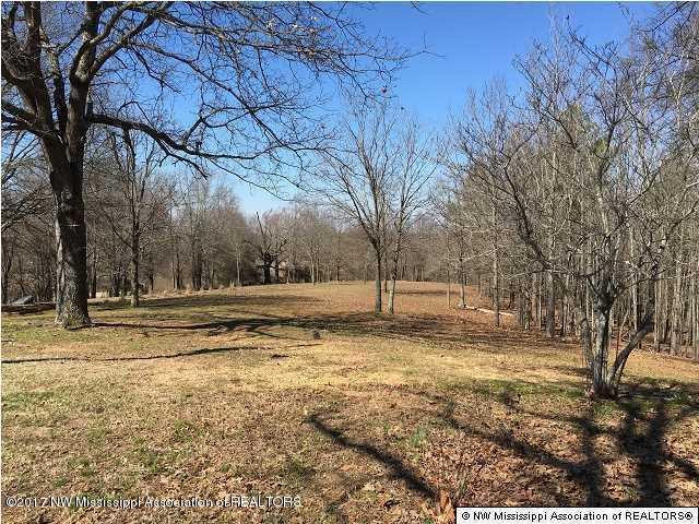 2075 Scotland Road Coldwater, MS 38618 - Photo 2 of 4 rear