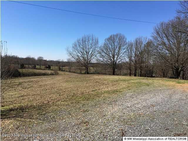 2075 Scotland Road Coldwater, MS 38618 - Photo 4 of 4 west side
