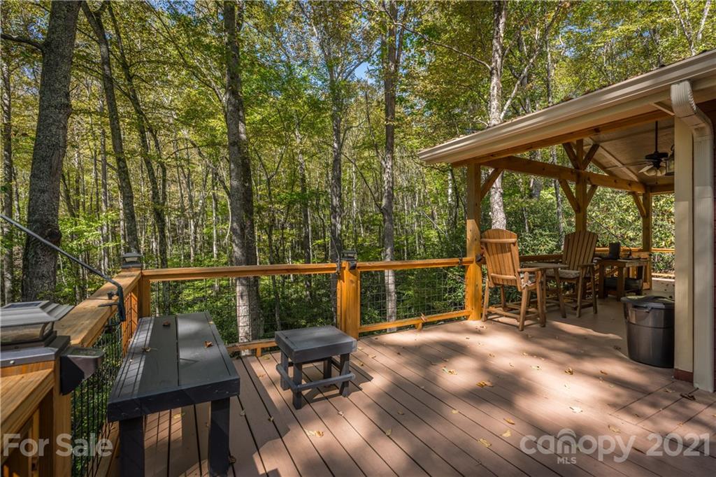 3789 Bald Creek Road Clyde, NC 28721 - Photo 3 of 39 Gallery Image 3