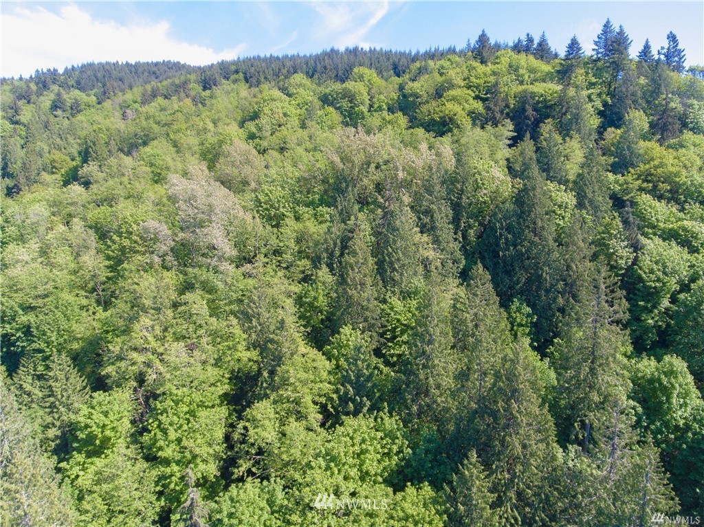 -xxxx Old Samish Road Bellingham, WA 98229 - Photo 1 of 1 Gallery Image 1