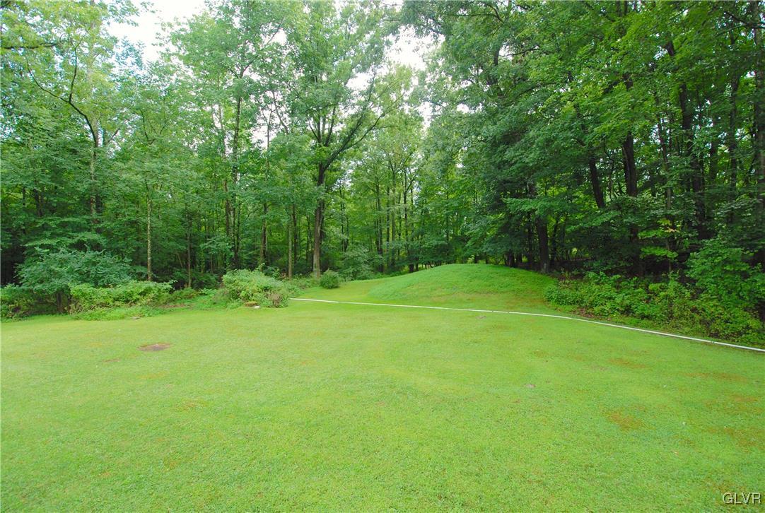 625 Turkey Ridge Road Mount Bethel, PA 18343 - Photo 35 of 43 a view of a grassy field with trees in the background