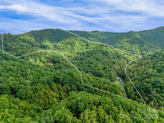 a view of a green field with lots of bushes