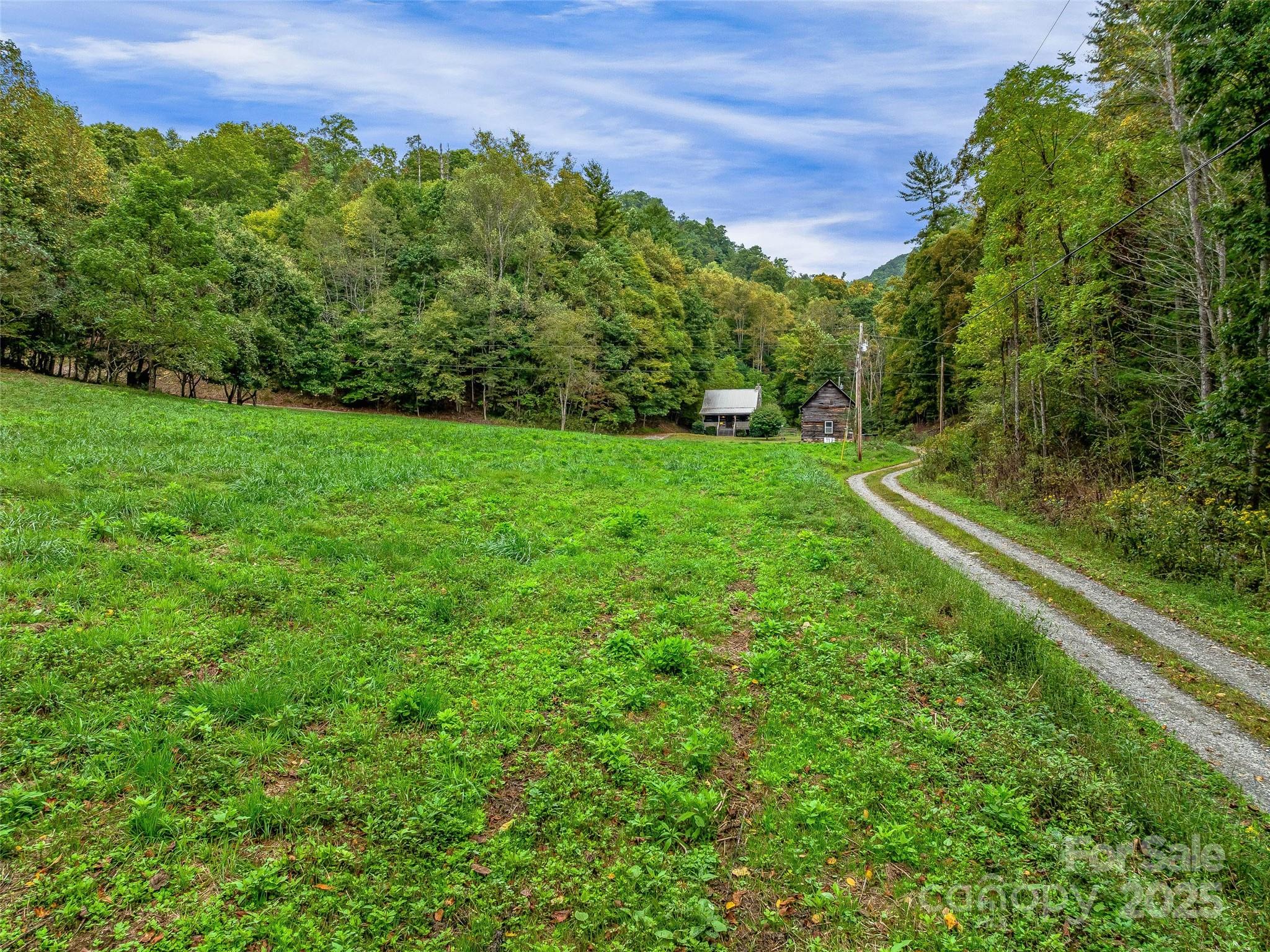 2725 Upper Brush Creek Road Marshall, NC 28753 - Photo 2 of 48 a view of a lush green field