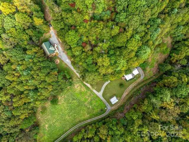 a view of a yard with plants
