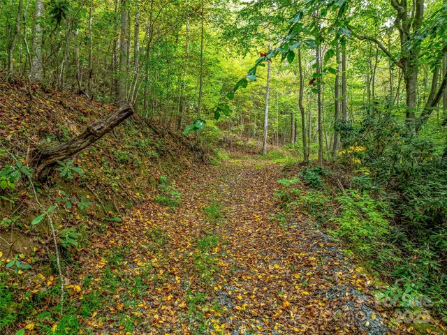 a view of outdoor space and trees