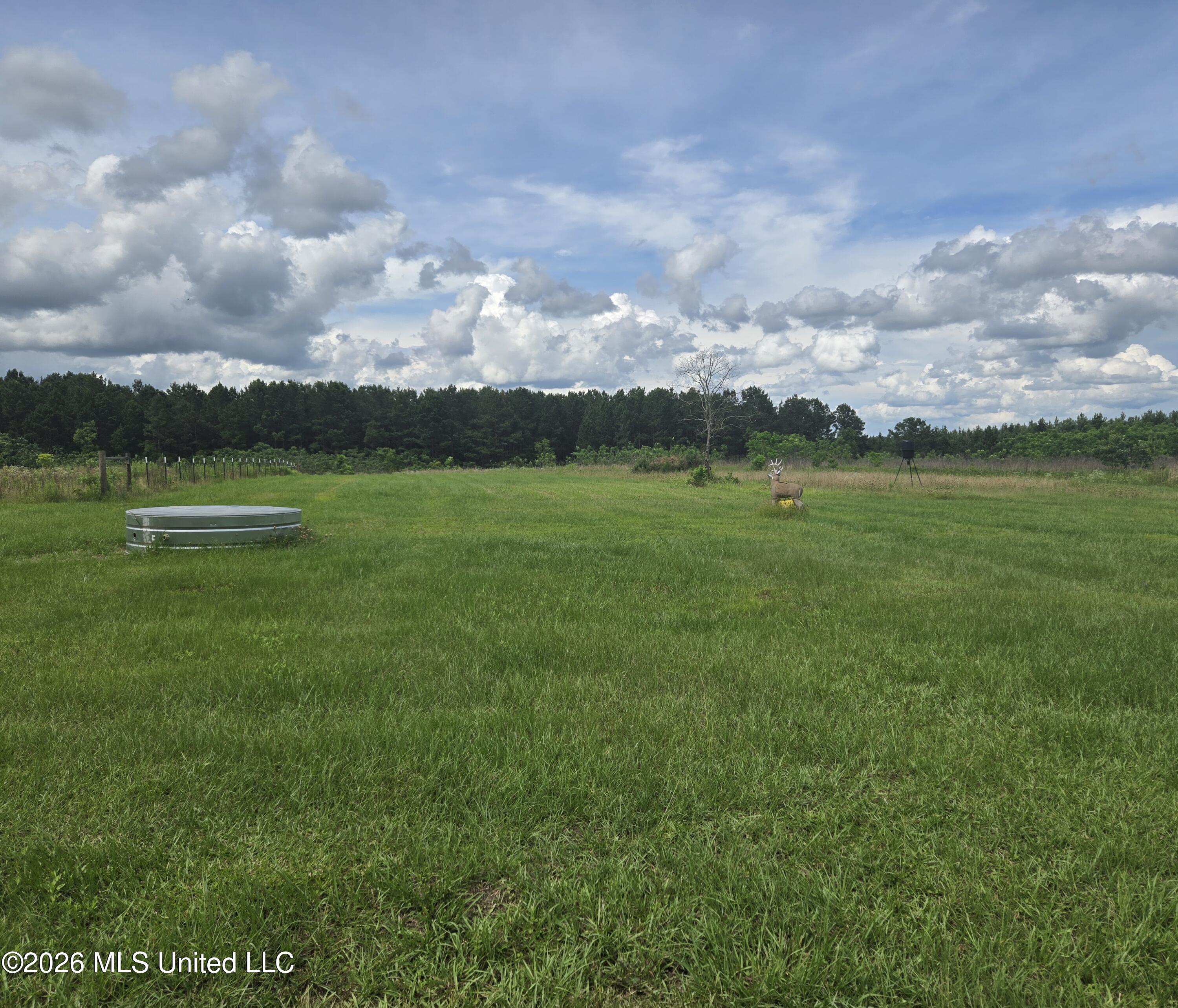 1933 Columbia Purvis Road Columbia, MS 39429 - Photo 9 of 26 28162