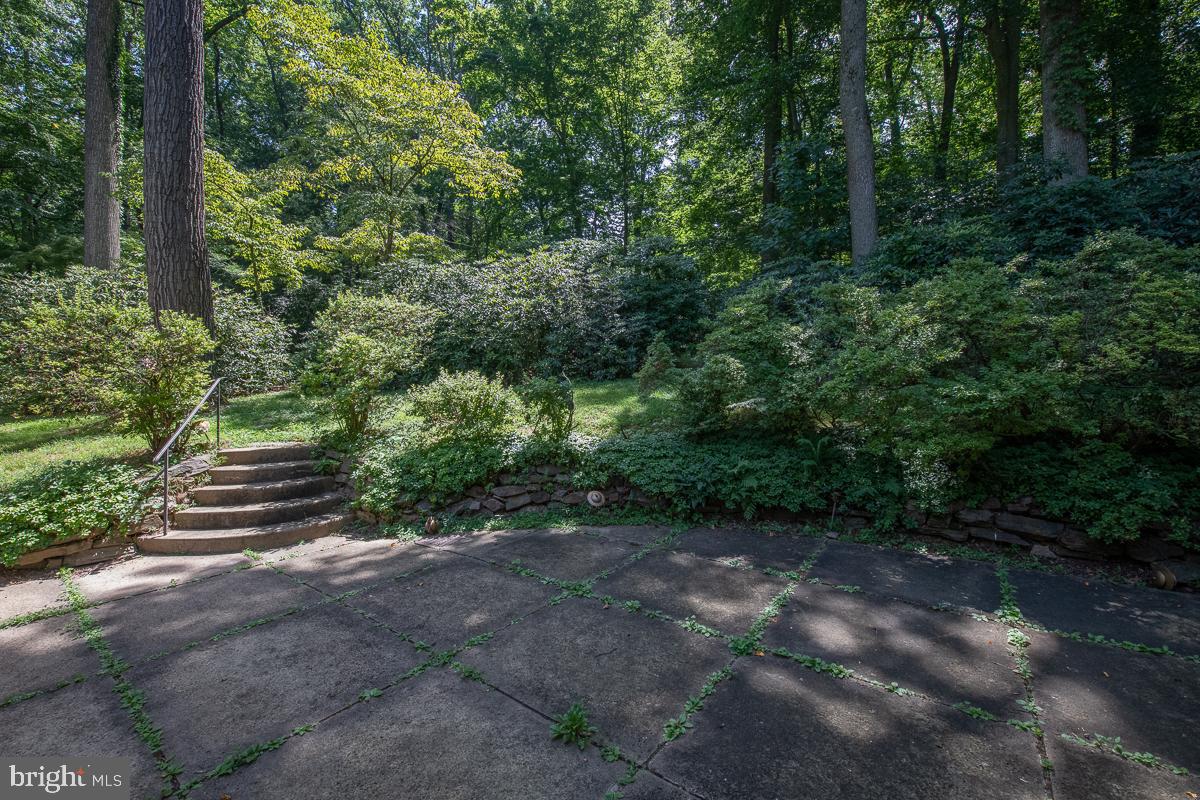 502 Oak Grove Lane Wayne, PA 19087 - Photo 62 of 67 private terrace