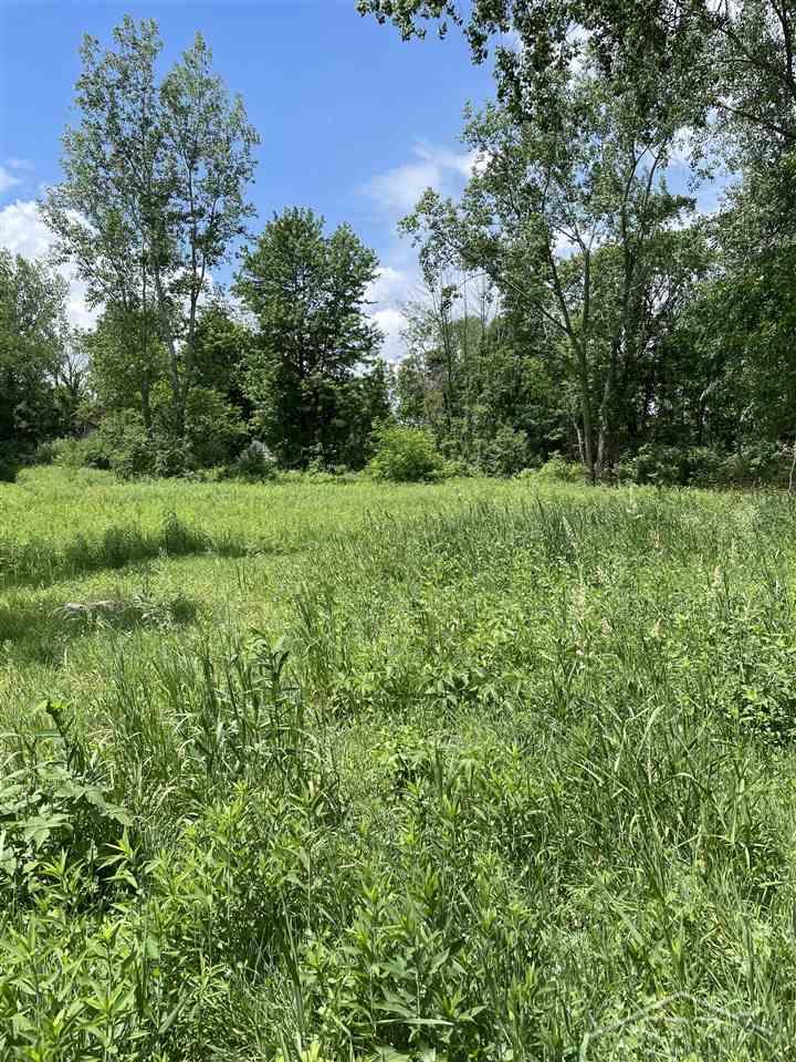 0 Webster Road Freeland, MI 48623 - Photo 2 of 5