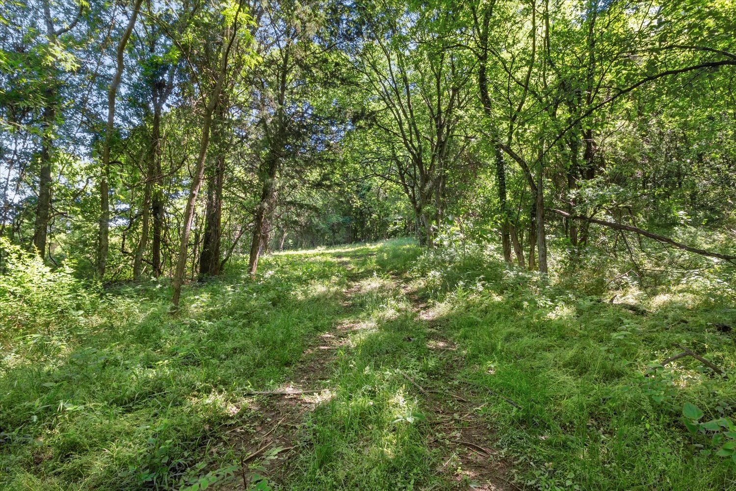 402 Cortner Hollow Road Petersburg, TN 37144 - Photo 22 of 54