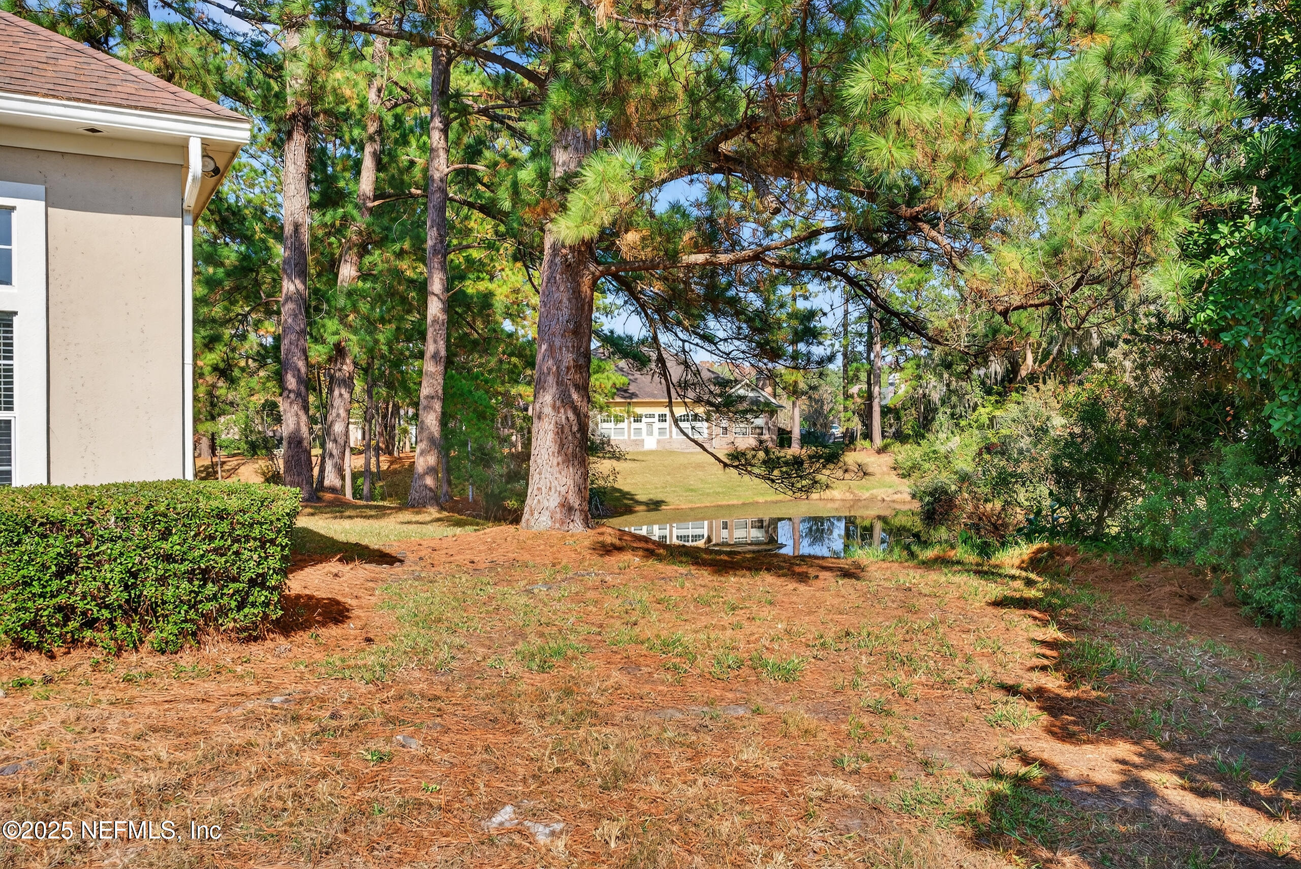 577 Hunters Grove Court Orange Park, FL 32073 - Photo 40 of 40 a view of a yard with plants and trees