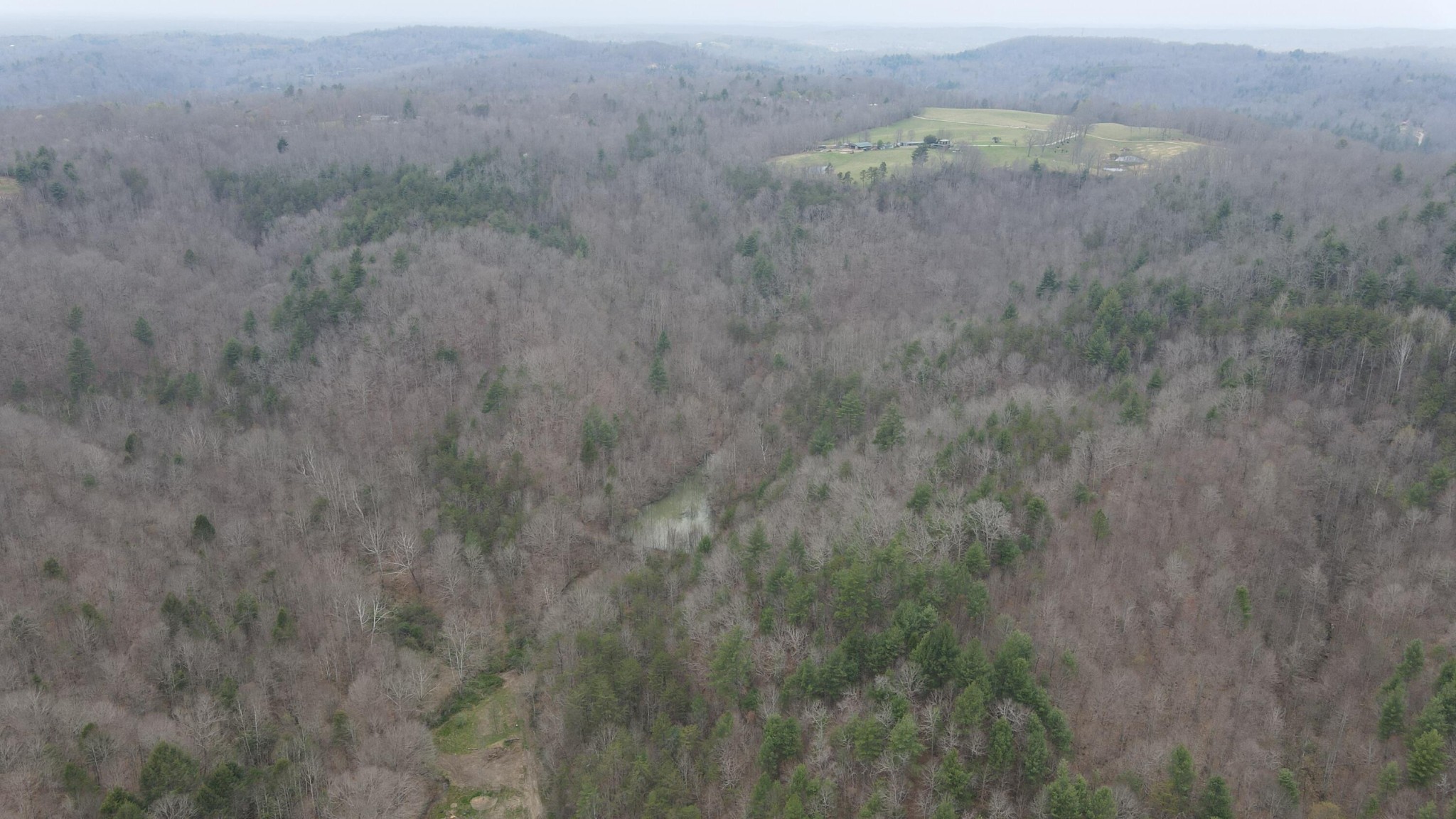 899 Morning Glory Road Oneida, TN 37841 - Photo 10 of 27