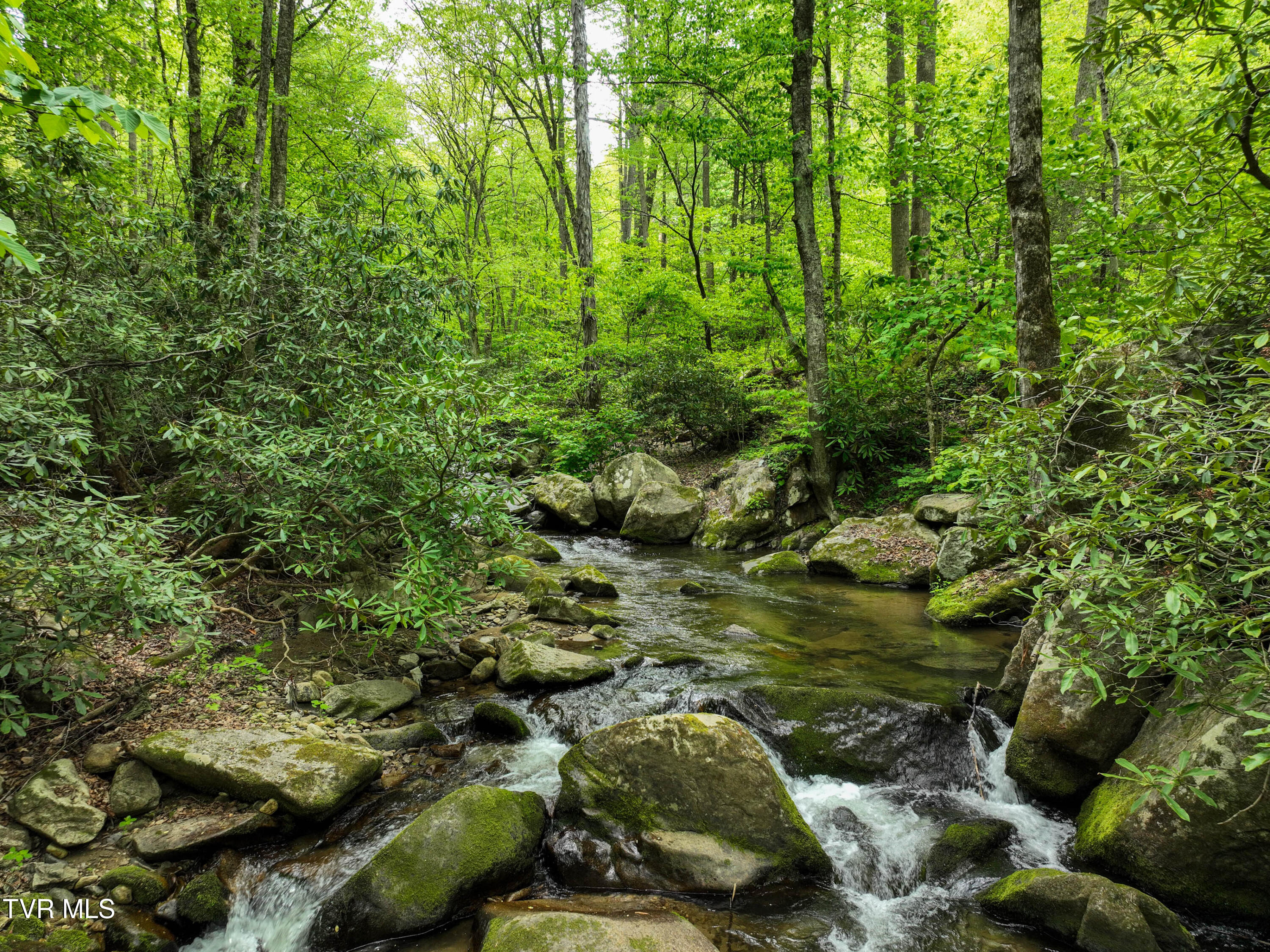 275 Tiger Creek Road Roan Mountain, TN 37687 - Photo 92 of 104 275 Tiger Creek Rd Drone WALLACE-39