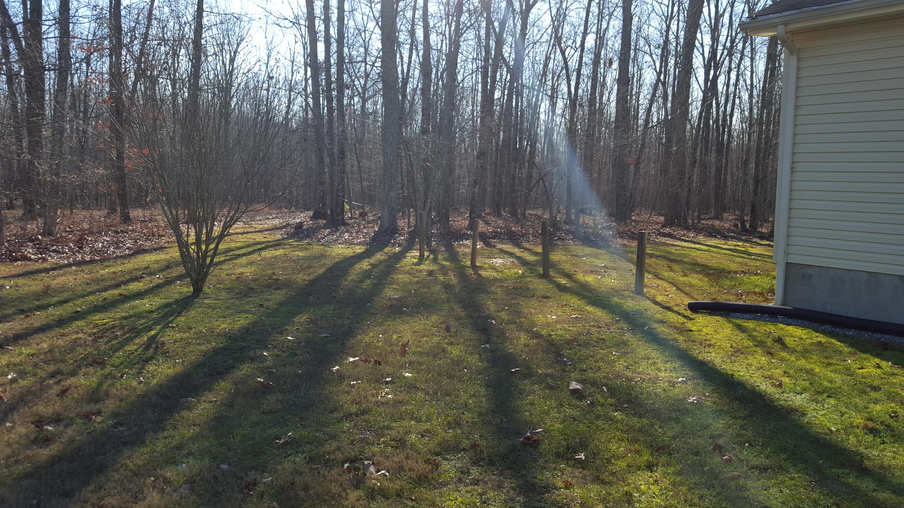 6099 Carters Mill Road Huddleston, VA 24104 - Photo 13 of 40 Side yard