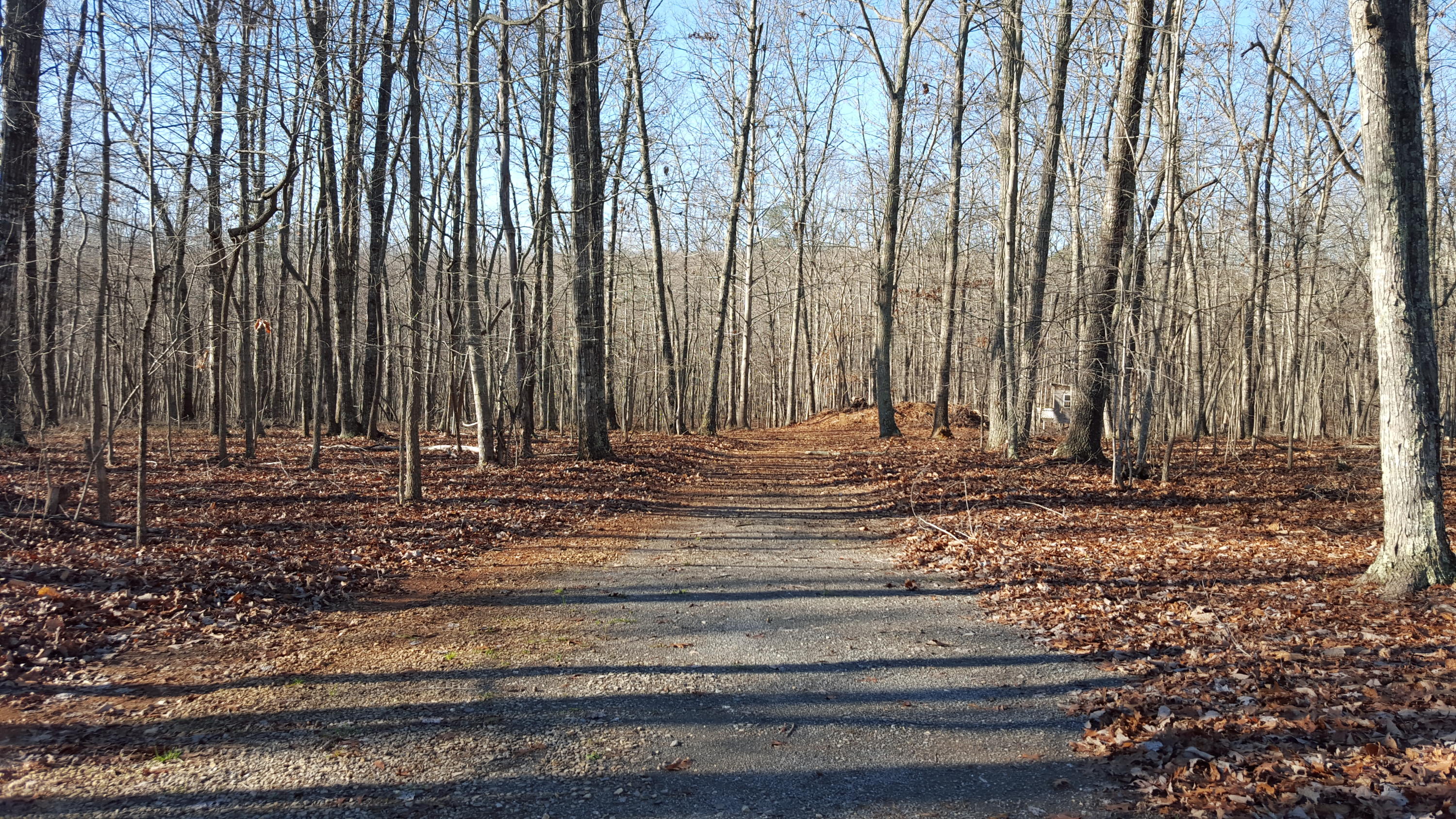 6099 Carters Mill Road Huddleston, VA 24104 - Photo 3 of 40 Side/back woods