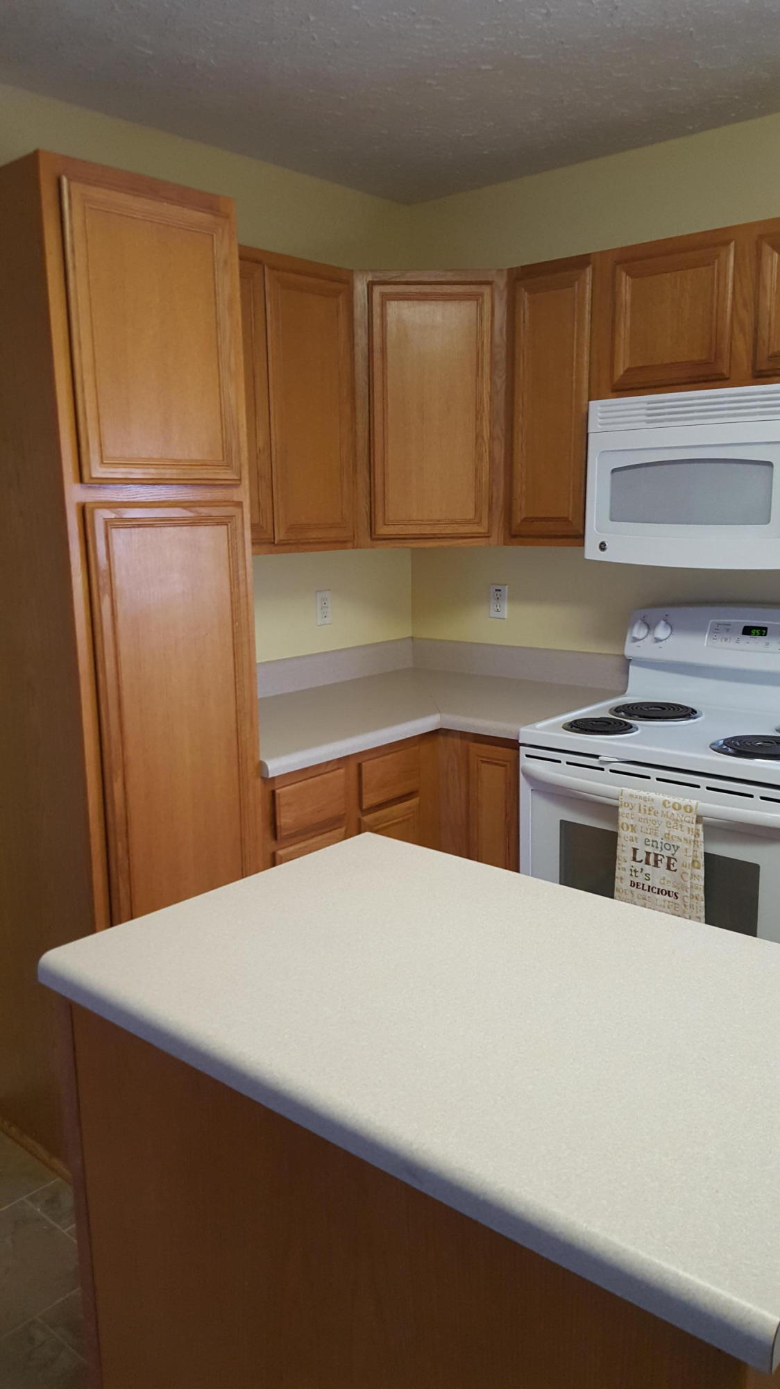 6099 Carters Mill Road Huddleston, VA 24104 - Photo 21 of 40 Kitchen