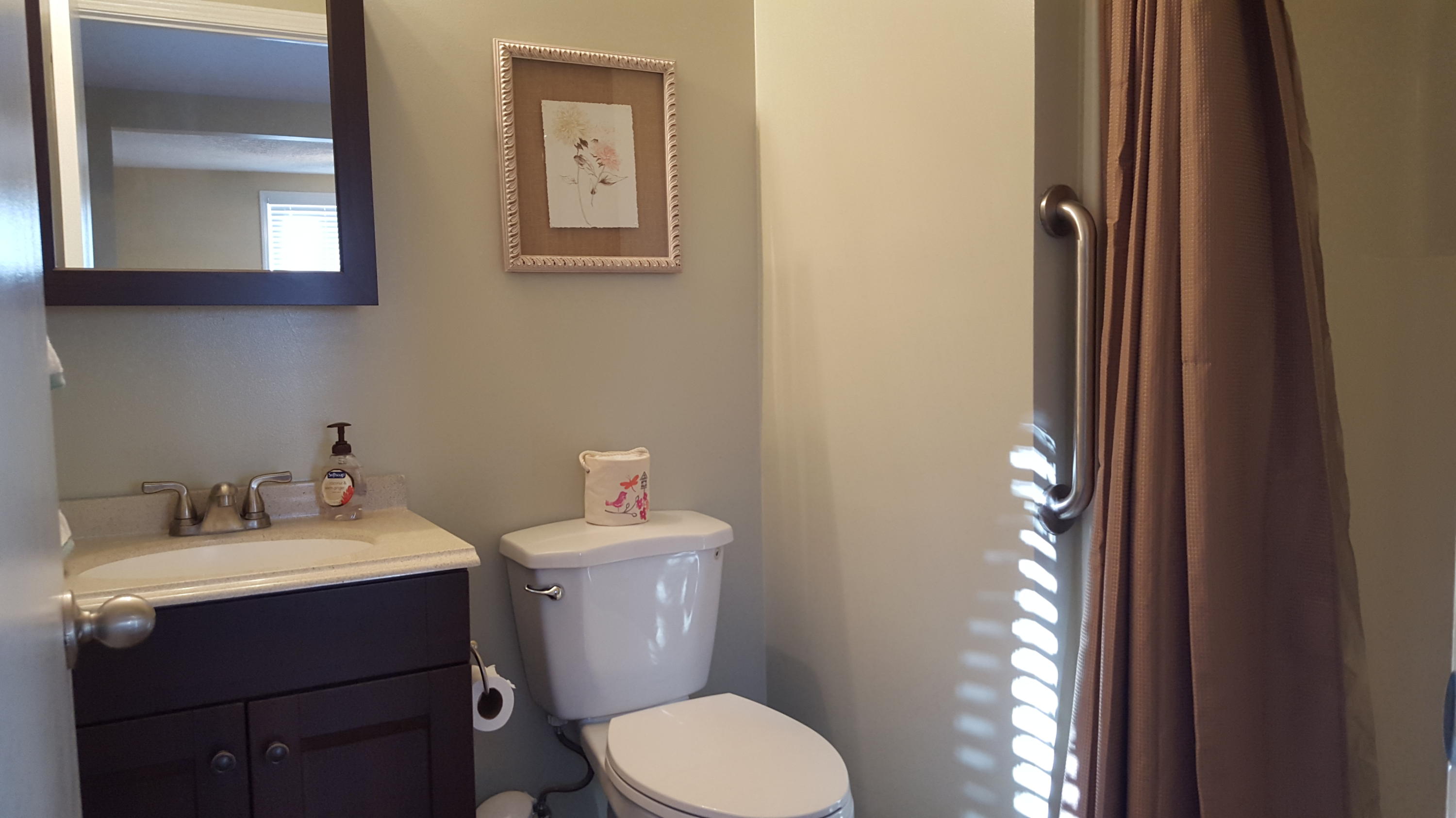 6099 Carters Mill Road Huddleston, VA 24104 - Photo 30 of 40 Master Bathroom