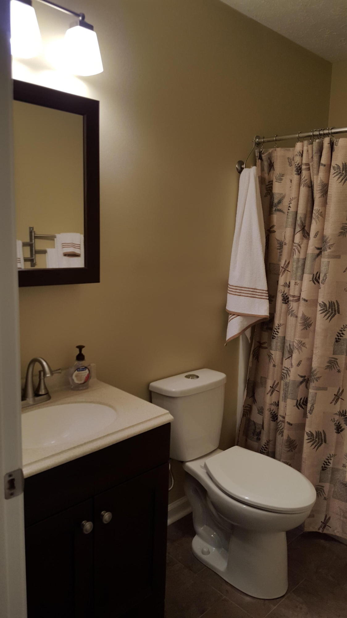6099 Carters Mill Road Huddleston, VA 24104 - Photo 32 of 40 Hall Bath