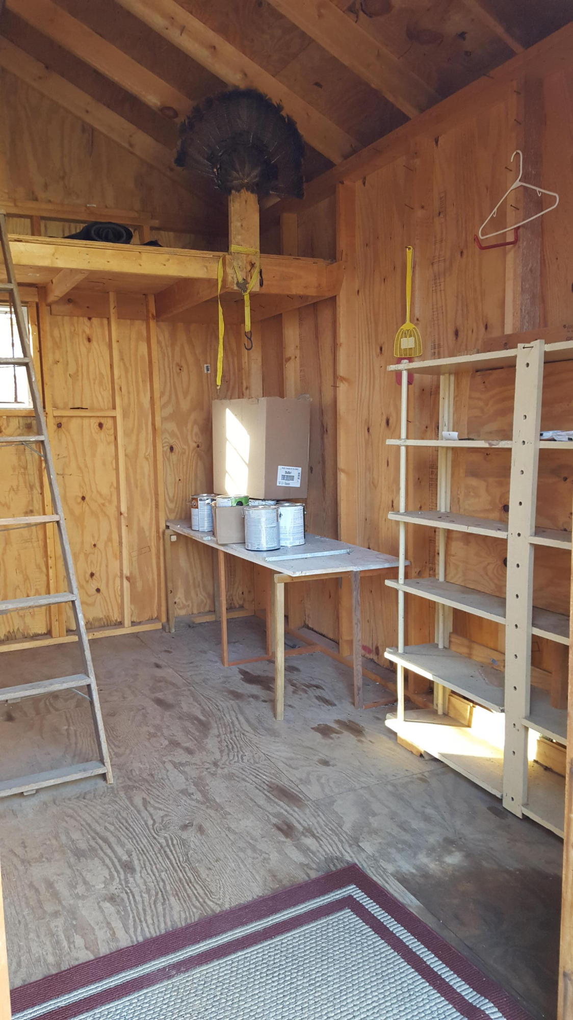 6099 Carters Mill Road Huddleston, VA 24104 - Photo 9 of 40 Shed