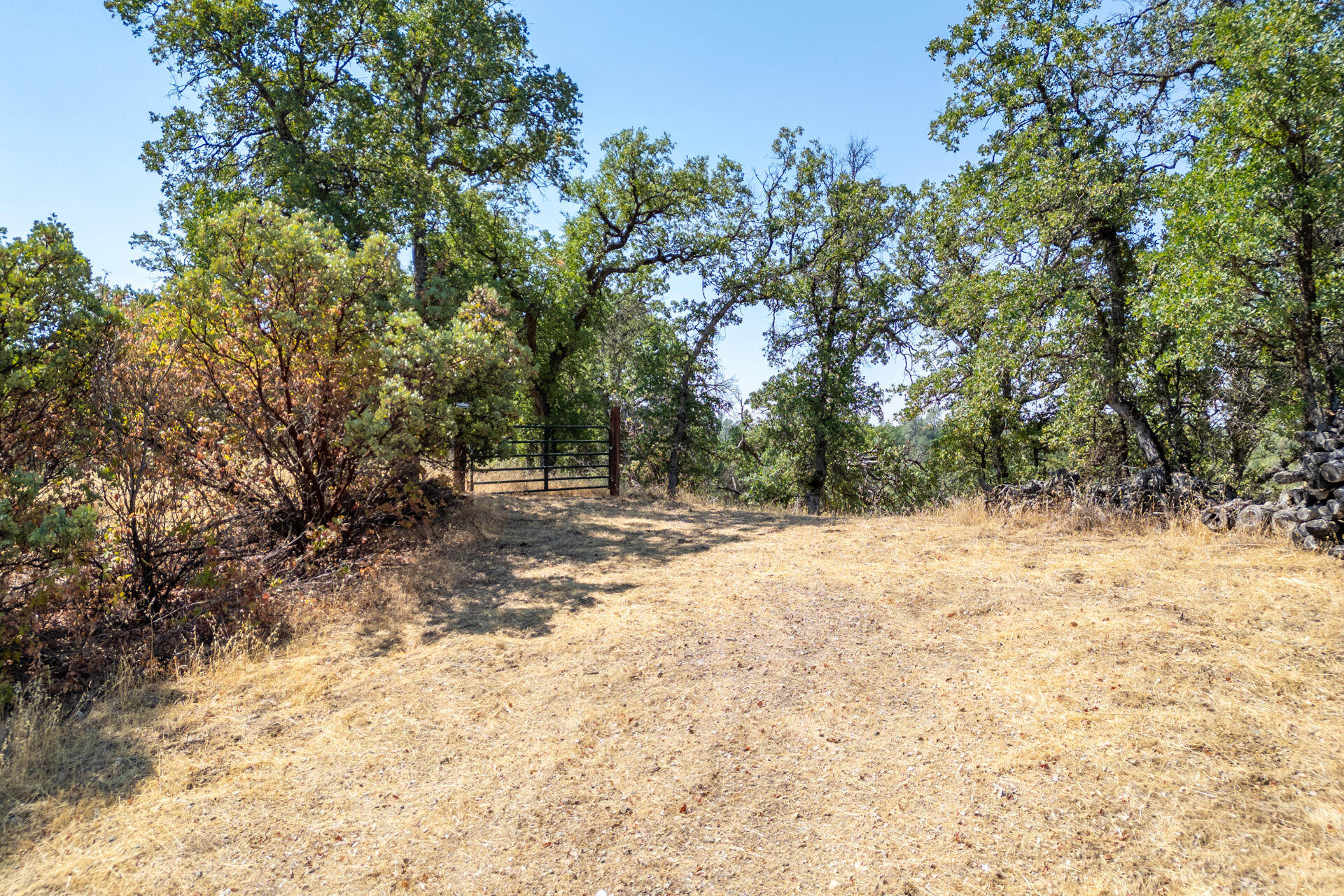 20 Rolling Ridge Road Cottonwood, CA 96022 - Photo 25 of 35 DJI_0690-HDR