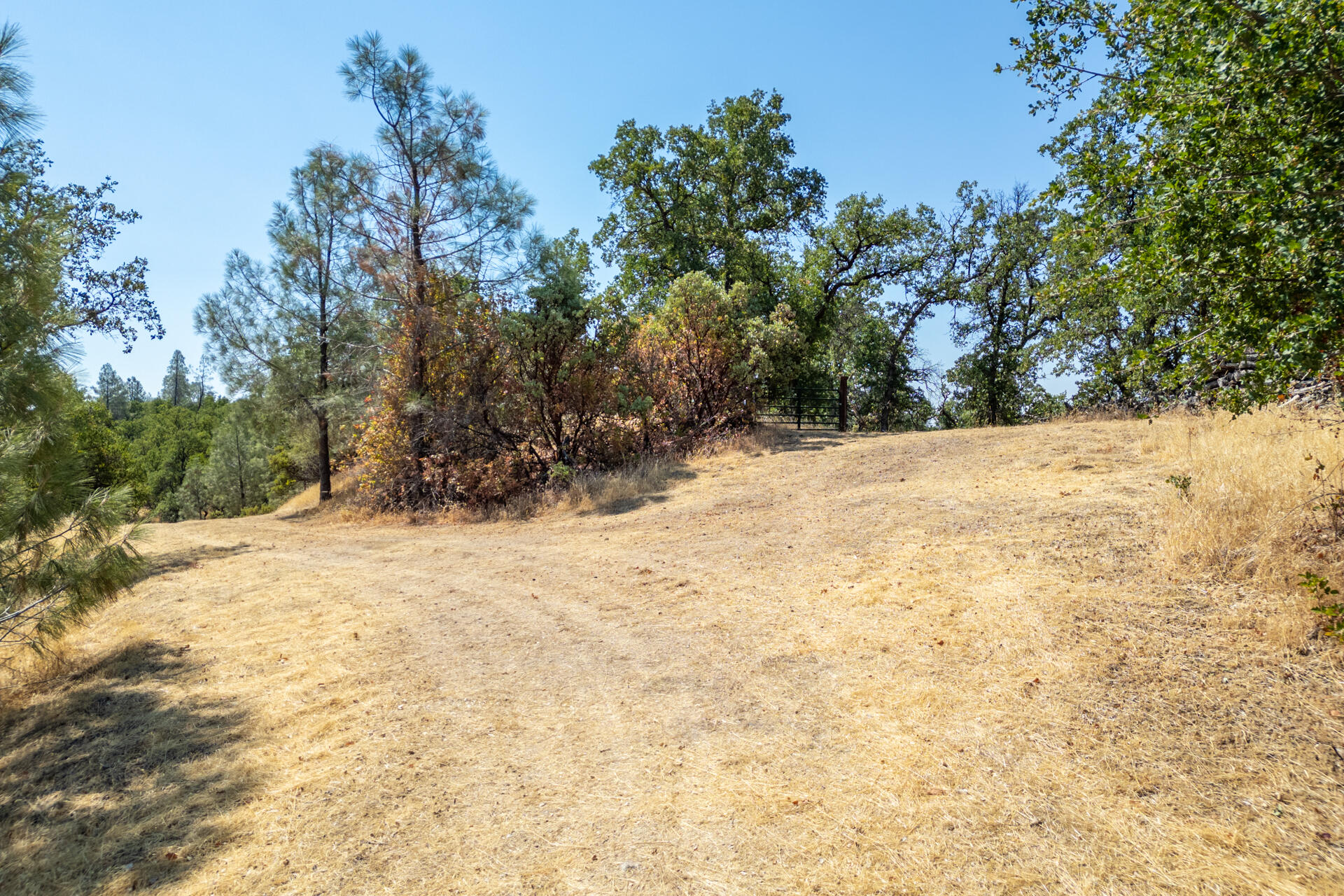 20 Rolling Ridge Road Cottonwood, CA 96022 - Photo 26 of 35 DJI_0687-HDR