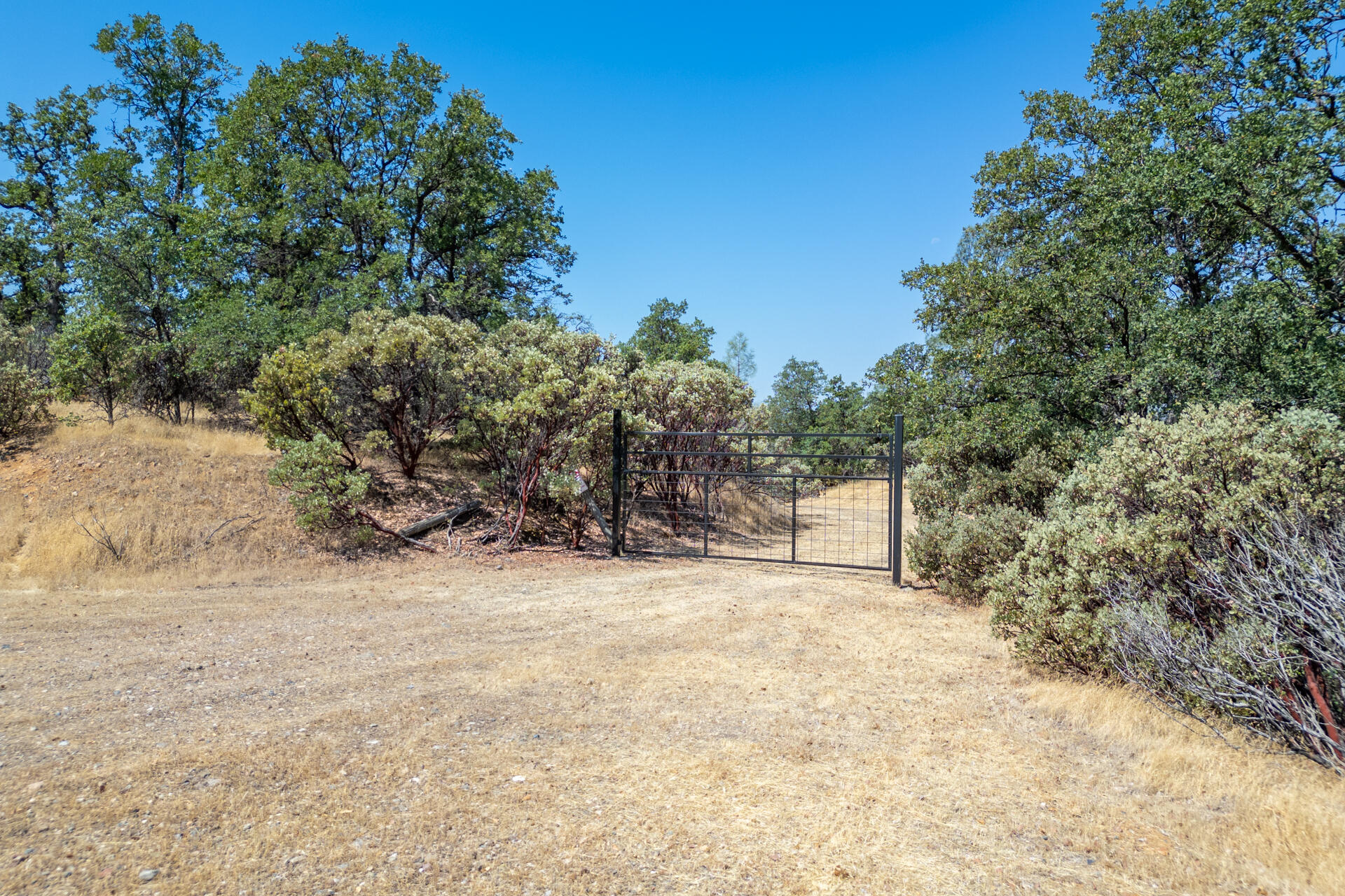 DJI_0765-HDR