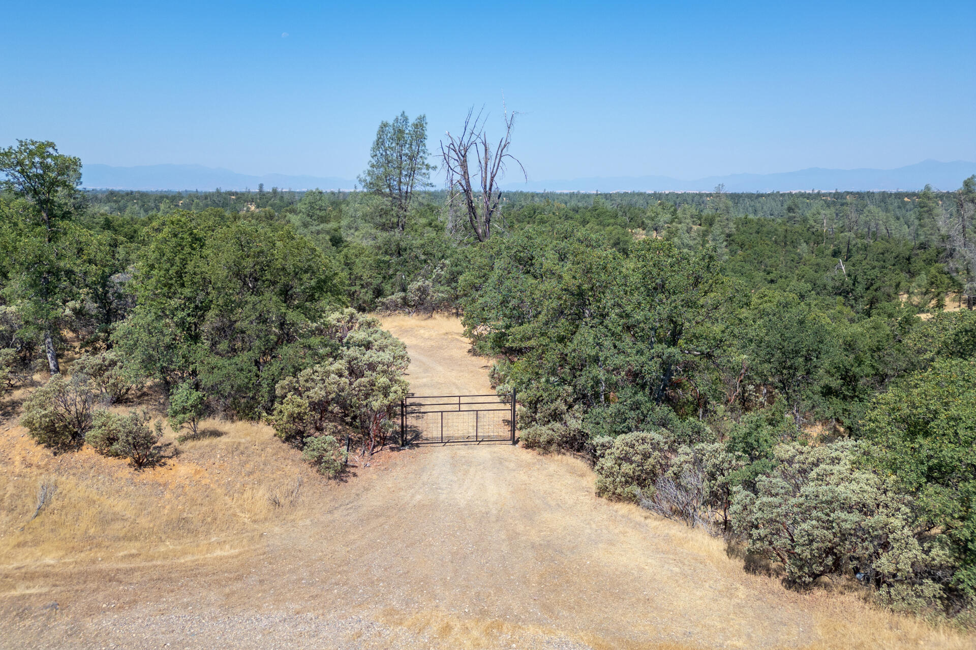 DJI_0773-HDR