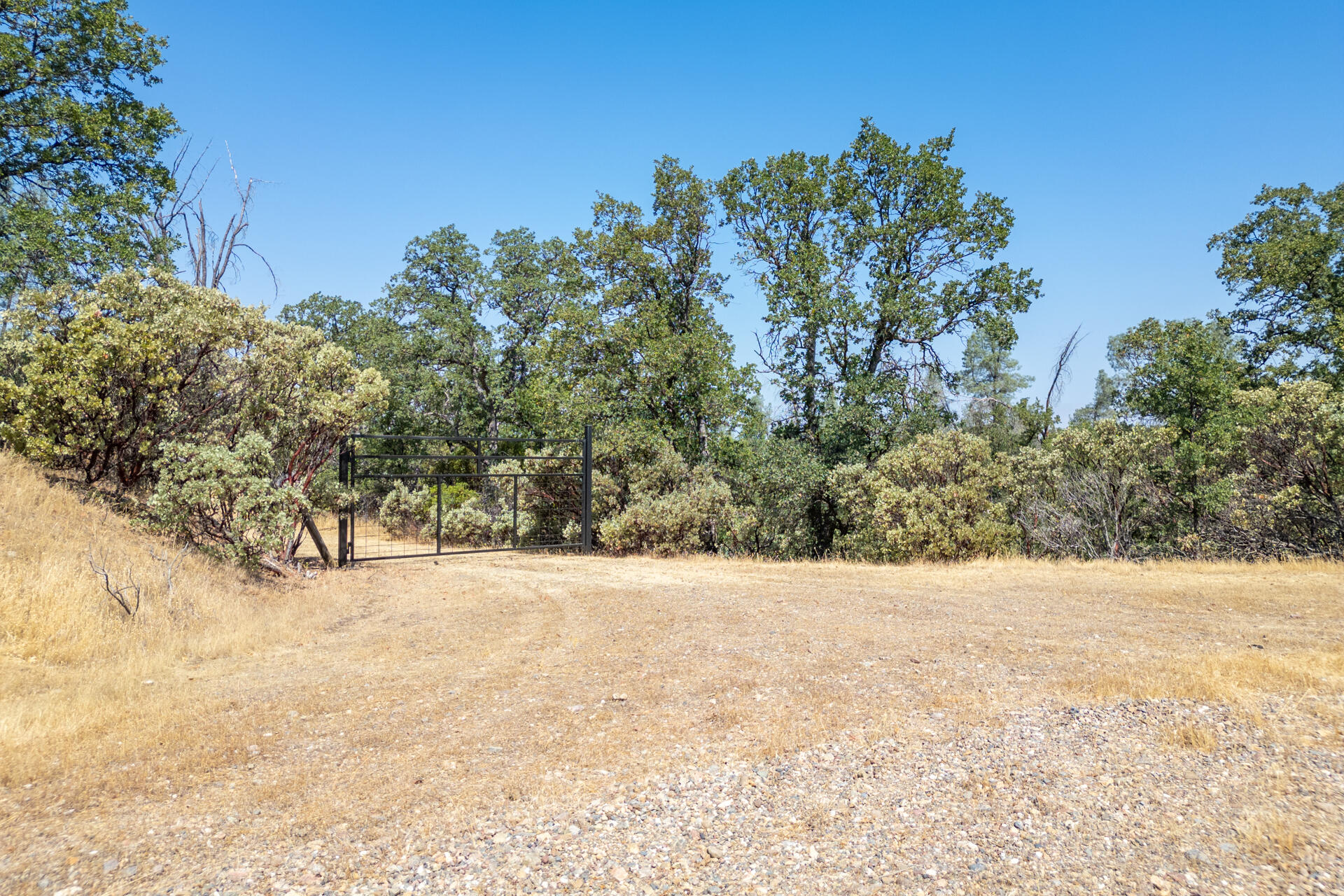 DJI_0770-HDR