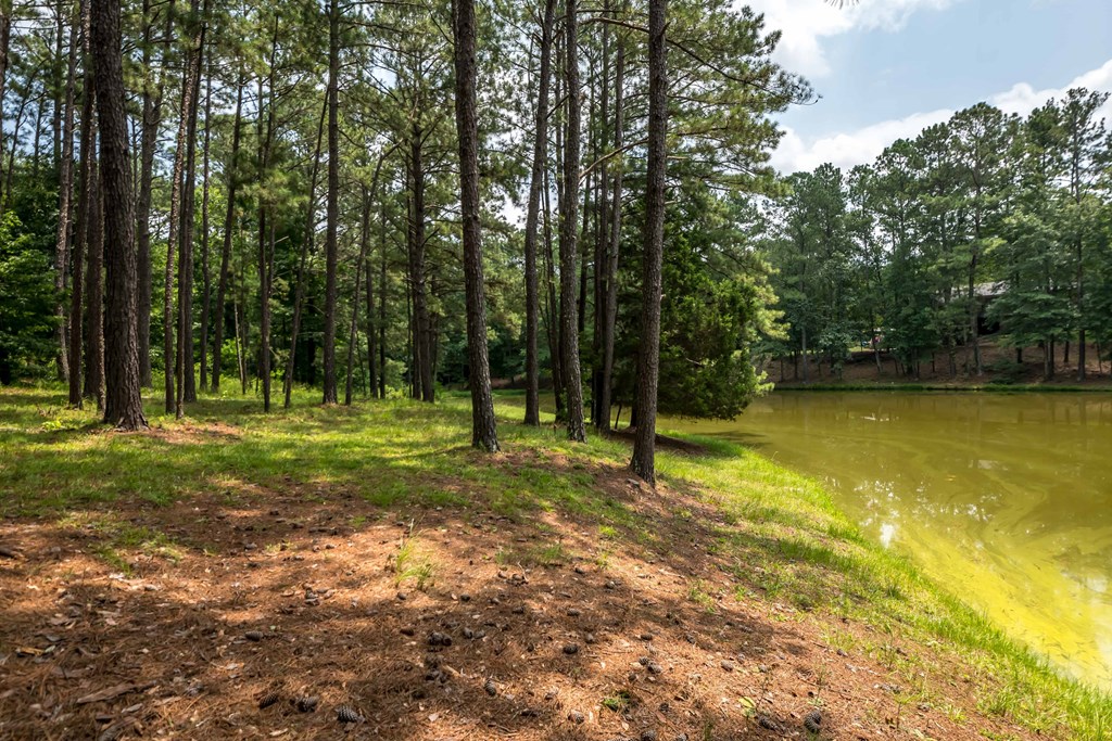 518 Old Double Churches Road Columbus, GA 31904 - Photo 11 of 56 Gallery Image 11