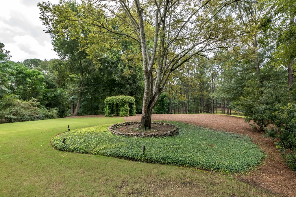 518 Old Double Churches Road Columbus, GA 31904 - Photo 4 of 56 Gallery Image 4