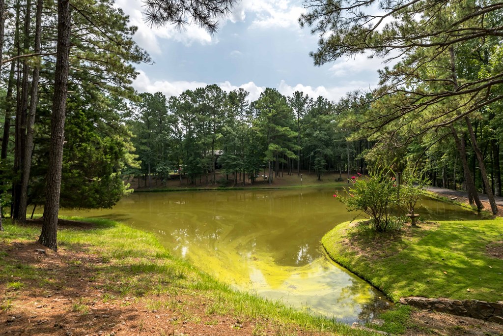 518 Old Double Churches Road Columbus, GA 31904 - Photo 10 of 56 Gallery Image 10