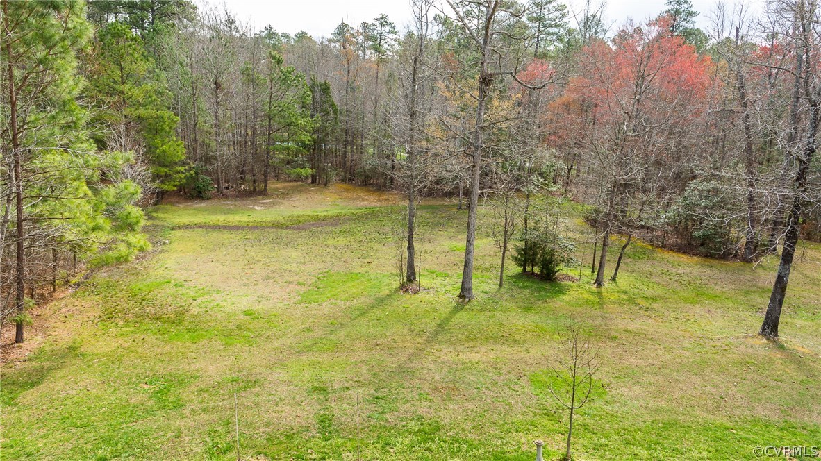 12203 Sylvan Ridge Place Chesterfield, VA 23838 - Photo 6 of 38 1.302 acres, great yard surrounded by woods for pr