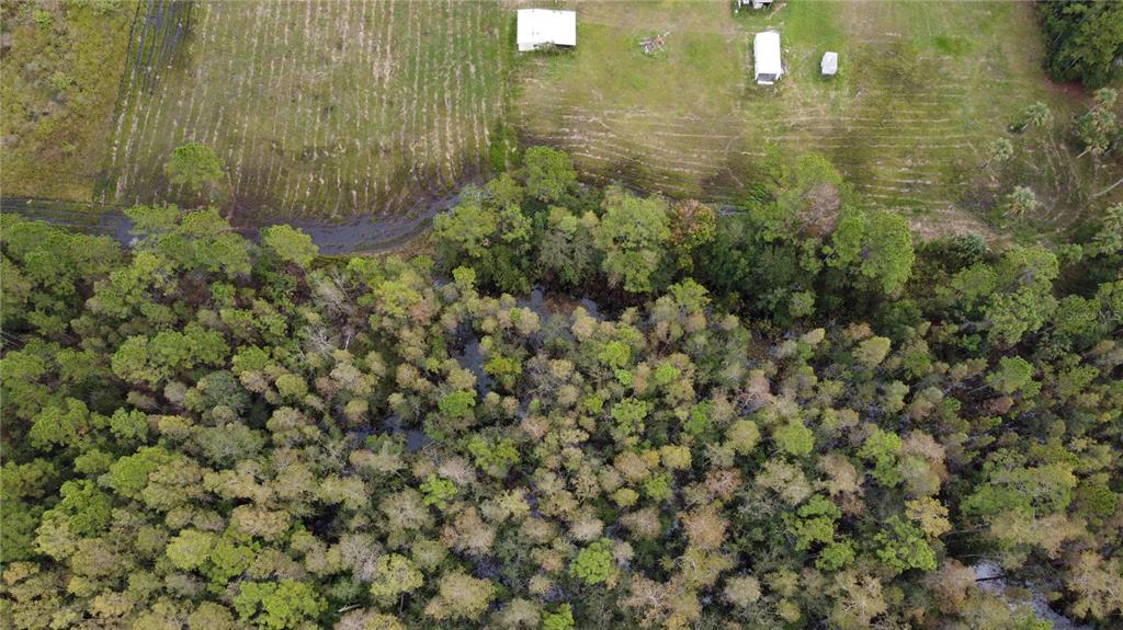 1121 Clark Bay Road DeLand, FL 32724 - Photo 36 of 46