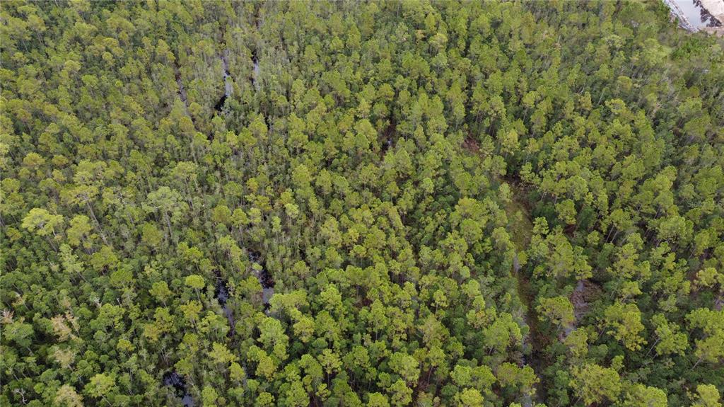 1121 Clark Bay Road DeLand, FL 32724 - Photo 38 of 46