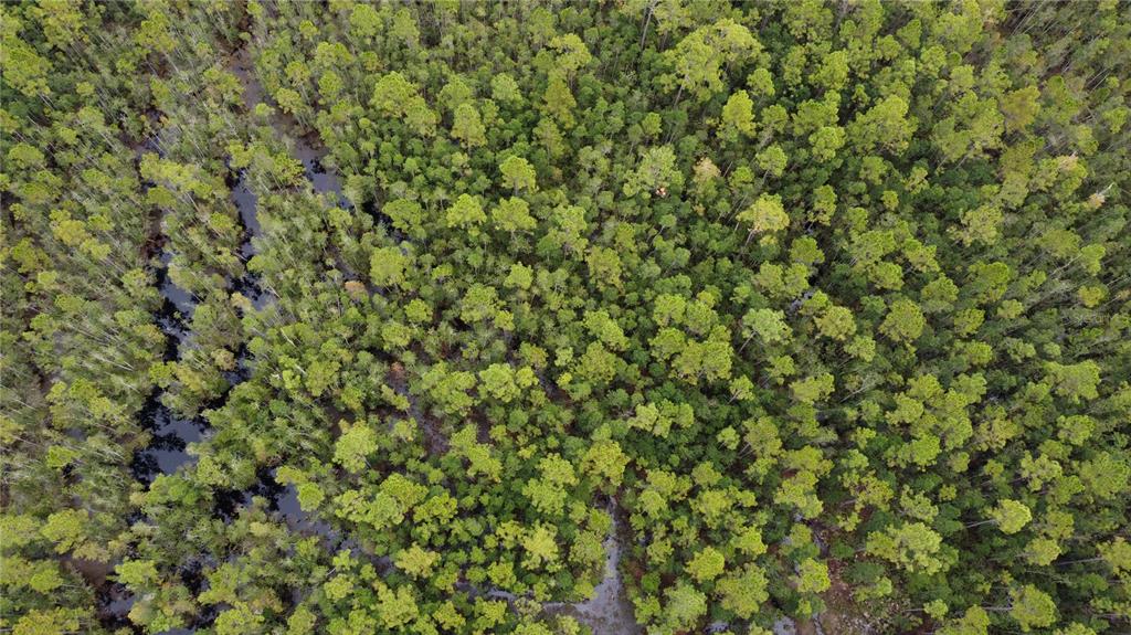 1121 Clark Bay Road DeLand, FL 32724 - Photo 39 of 46