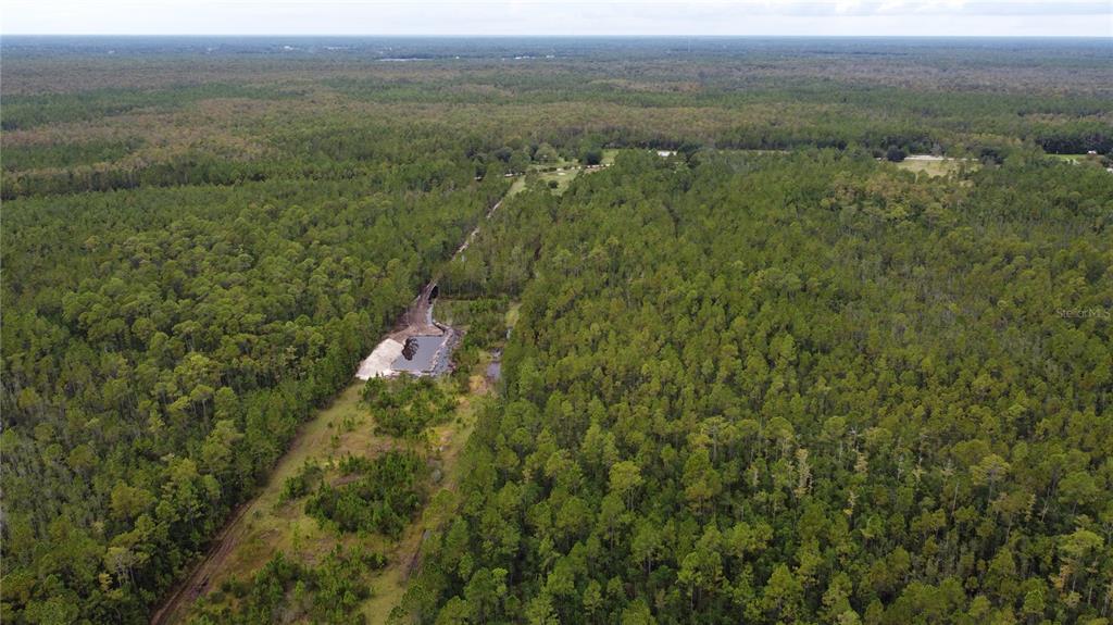 1121 Clark Bay Road DeLand, FL 32724 - Photo 41 of 46