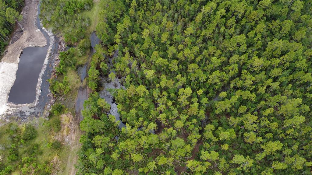 1121 Clark Bay Road DeLand, FL 32724 - Photo 42 of 46