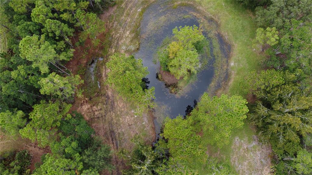 1121 Clark Bay Road DeLand, FL 32724 - Photo 6 of 46