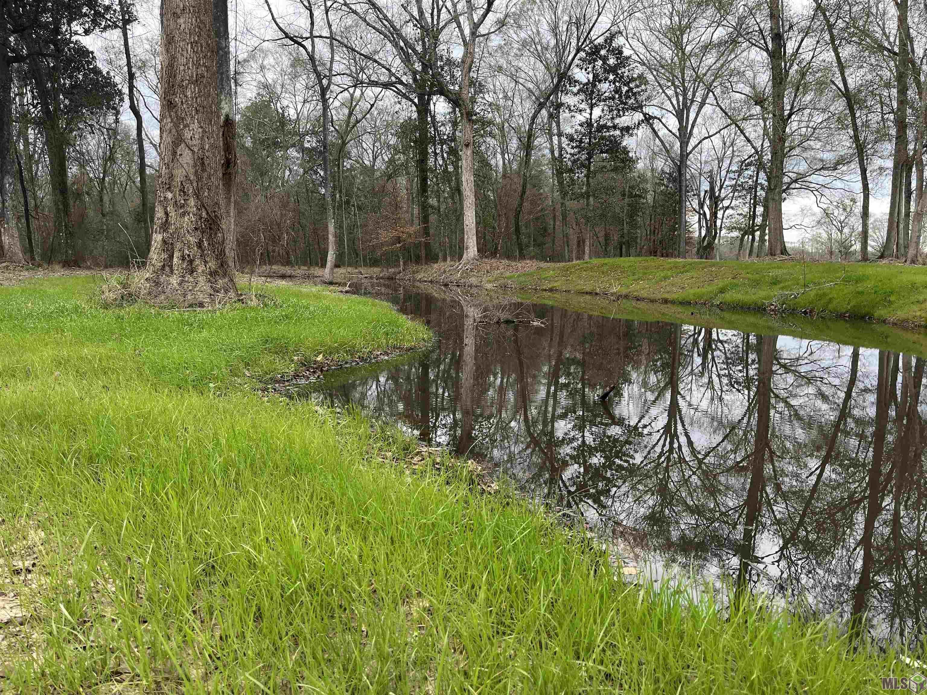 A1-d1 Lemon Road Slaughter, LA 70777 - Photo 5 of 5