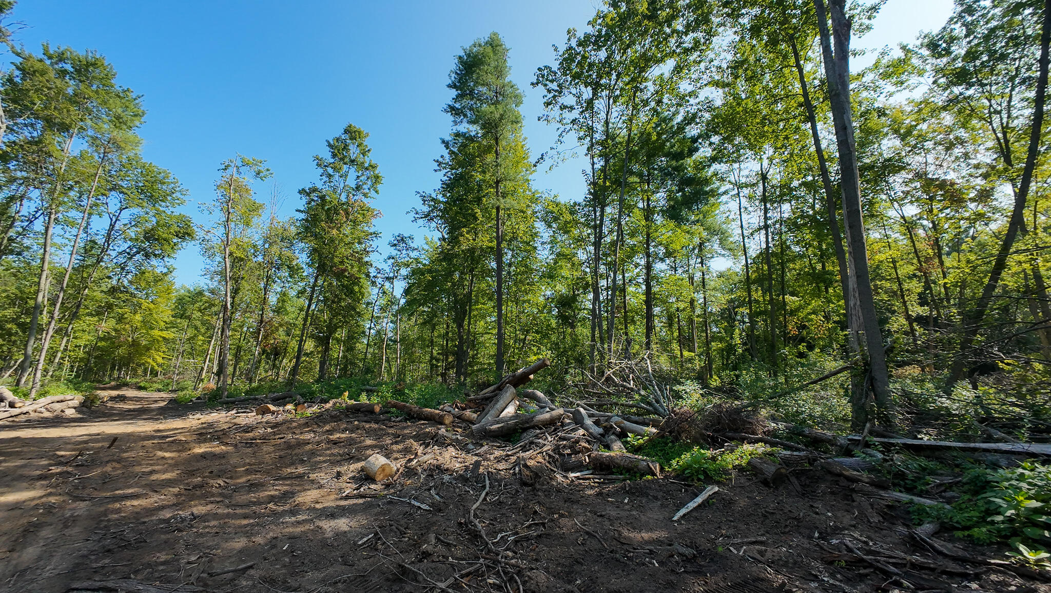 Vl Swenson Road Holton, MI 49425 - Photo 11 of 46 DJI_20260820112315_0014_D