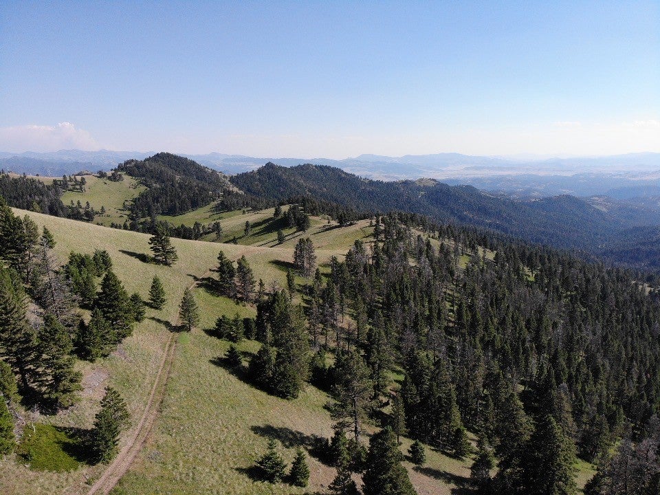 Tbd Outer Loop Road Cascade, MT 59421 - Photo 11 of 20 Gallery Image 11