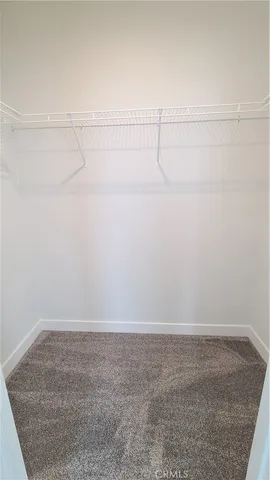 a bathroom with a shower and a toilet