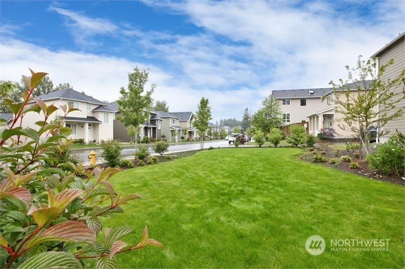 320 Graham Avenue Northeast Renton, WA 98059 - Photo 26 of 26 a view of a big yard with plants and large trees