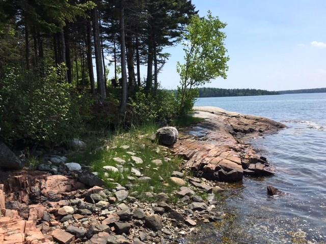 5 Collins Cove Road Machiasport, ME 04655 - Photo 3 of 11 Photo