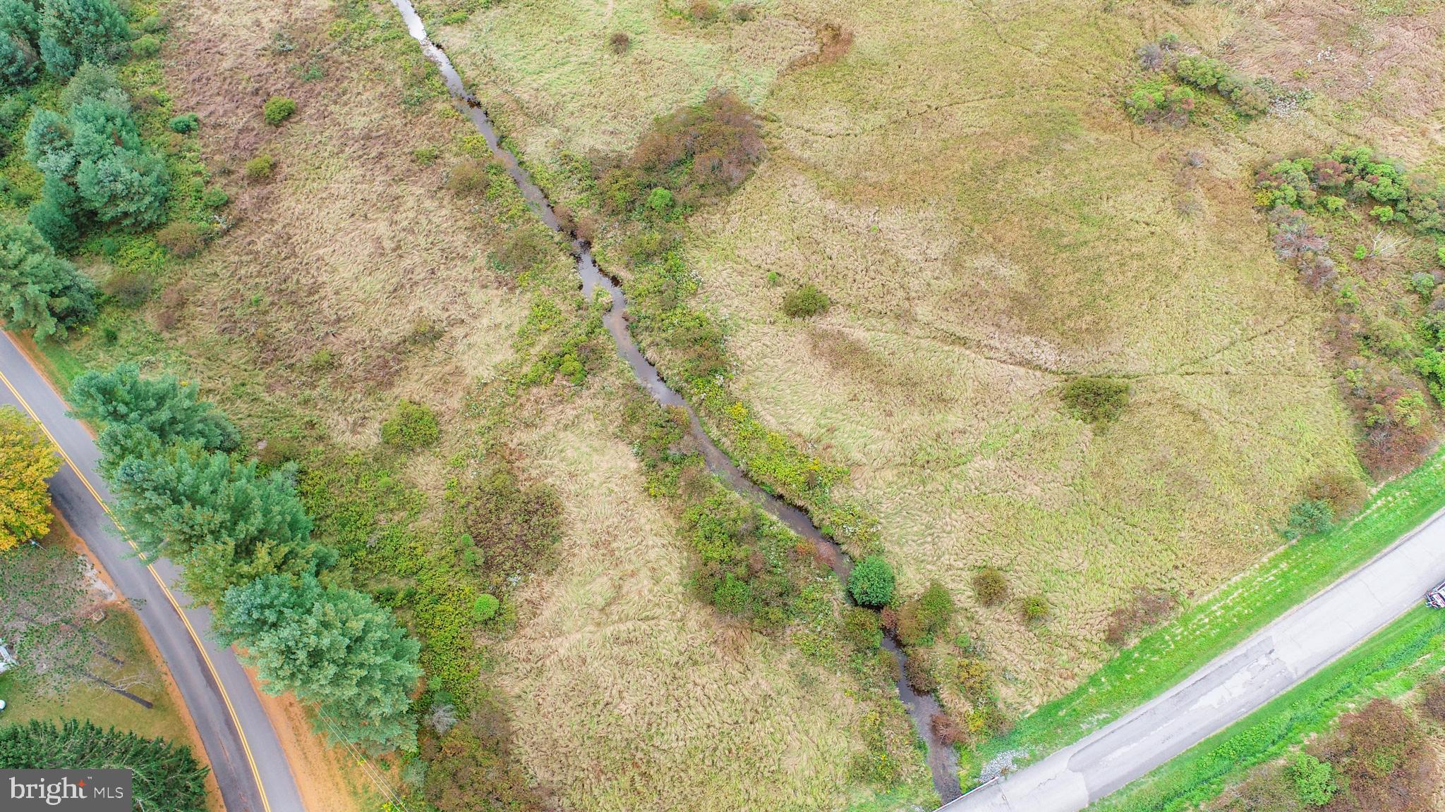 5.5-acres Lake Ford Road Oakland, MD 21550 - Photo 15 of 21 a view of a yard with plants and wooden fence