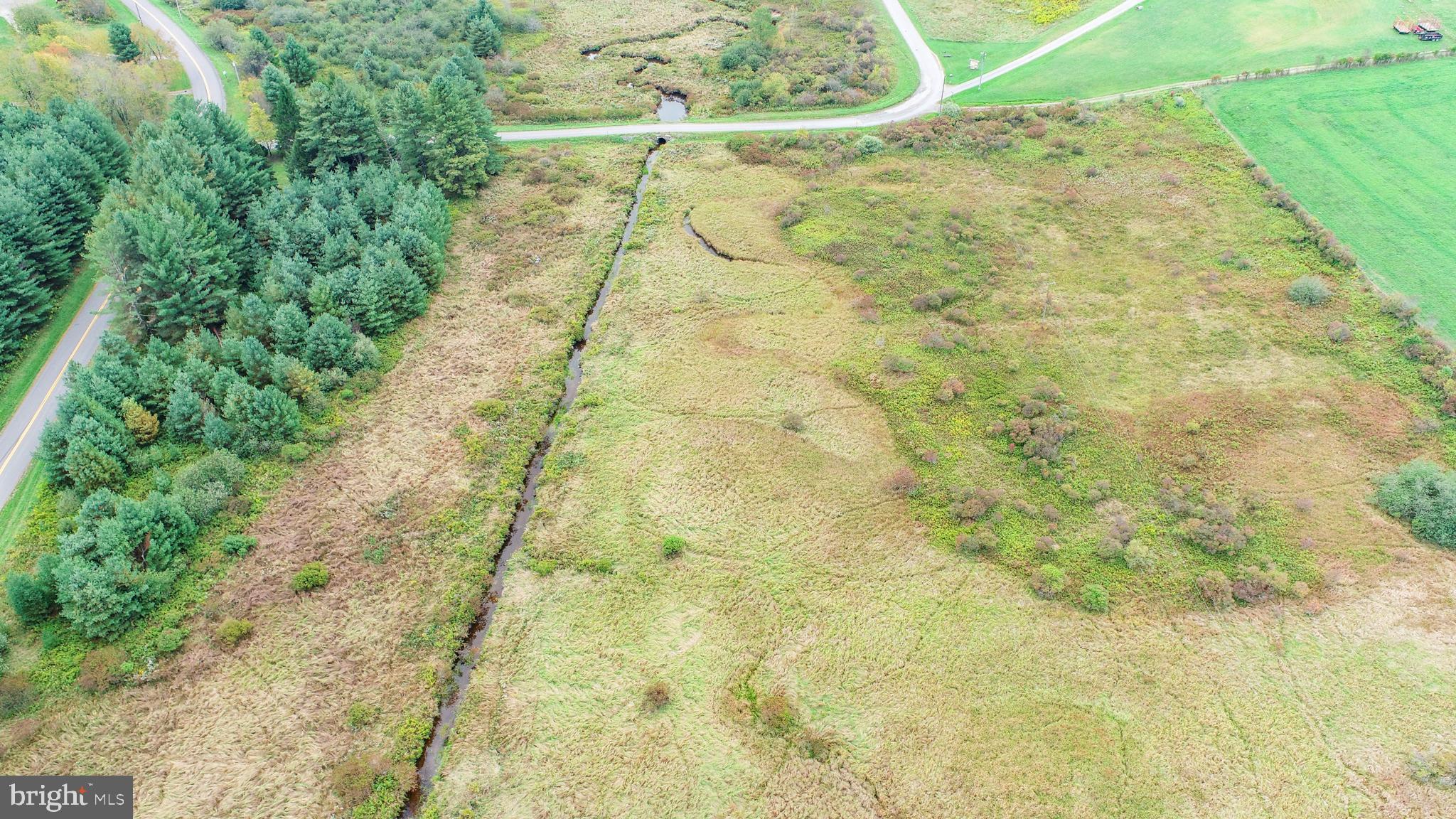 5.5-acres Lake Ford Road Oakland, MD 21550 - Photo 17 of 21 a view of a yard